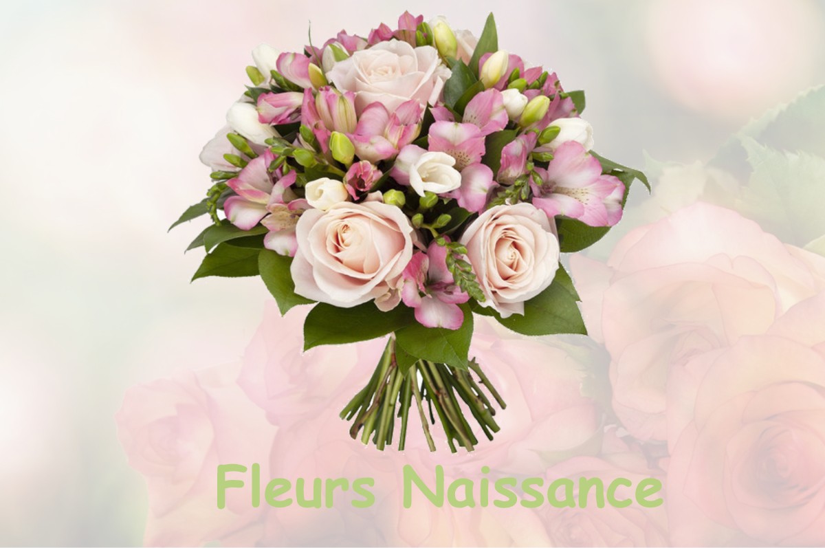 fleurs naissance ARGENTRE-DU-PLESSIS