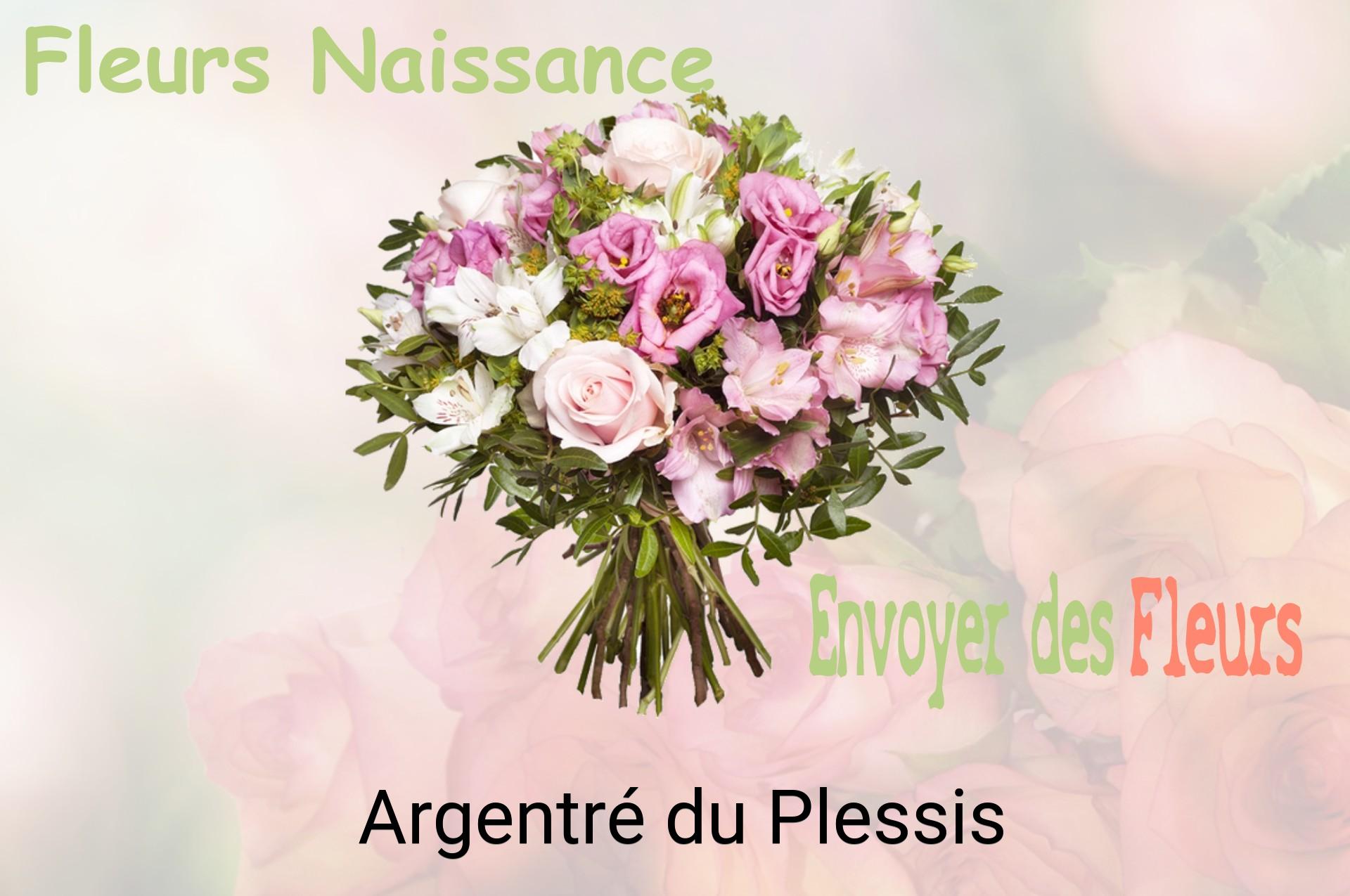 Bouquet de fleurs de naissance livré à Argentré-du-Plessis