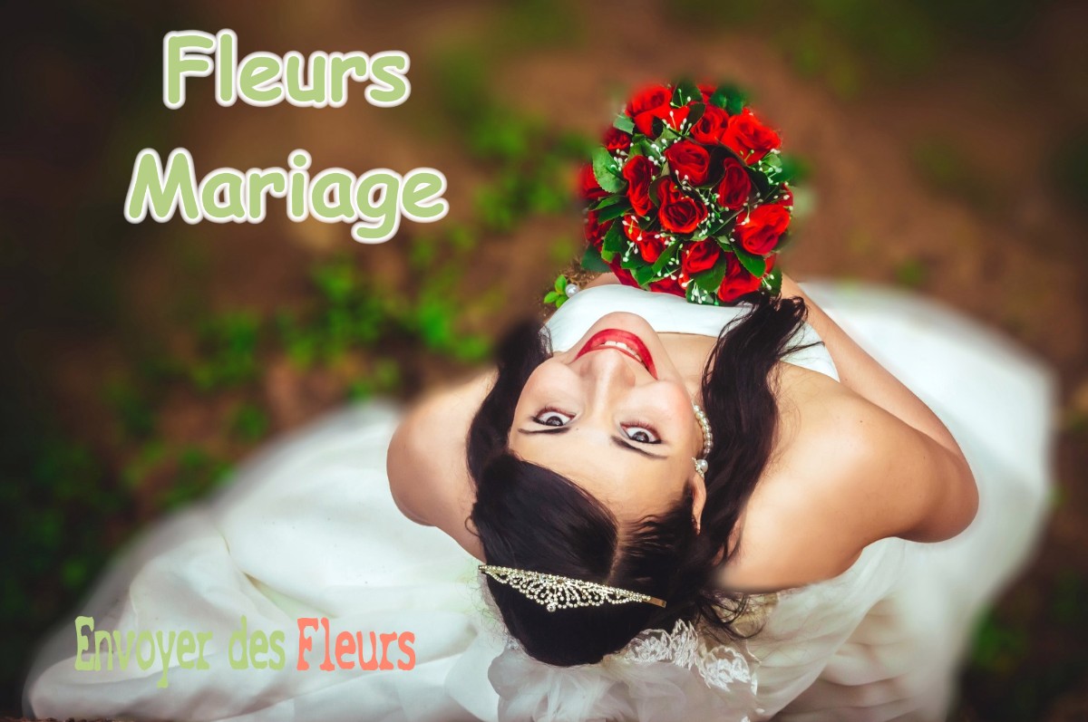 lIVRAISON FLEURS MARIAGE à ARGENTRE-DU-PLESSIS